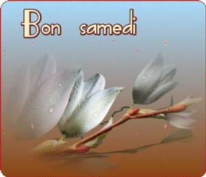 Gif animé Bon samedi fleurs blanches